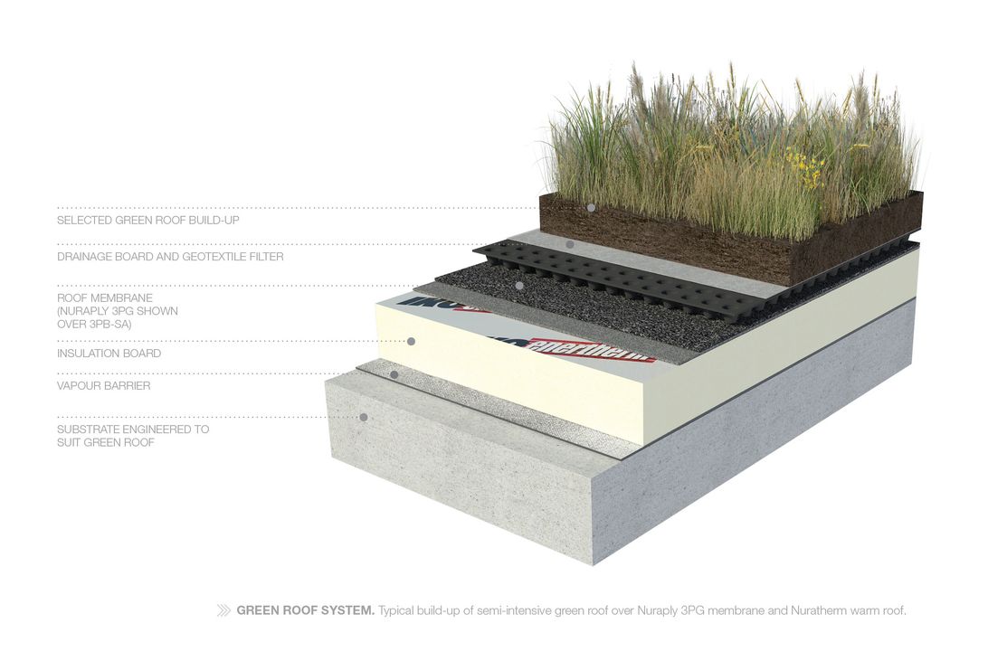 Green roofs – membranes