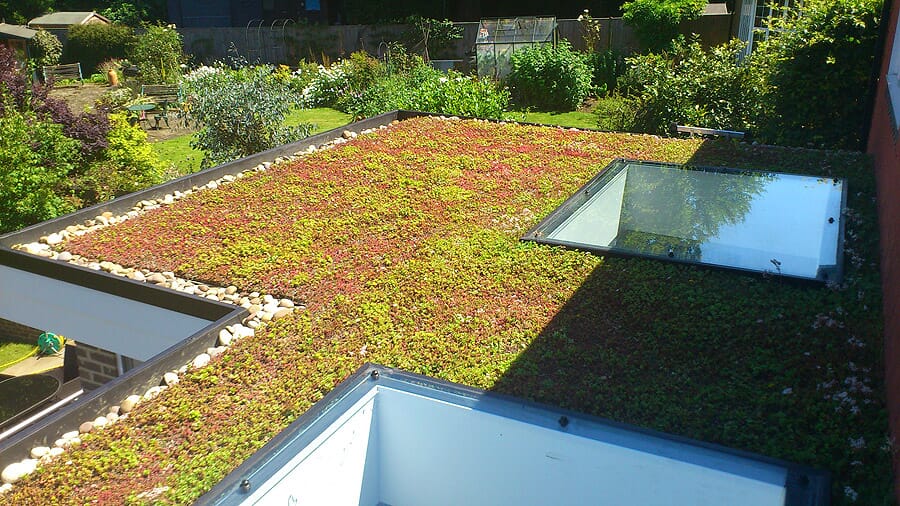 green roof